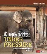 Elephants Under Pressure: A Cause and Effect Investigation