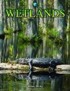 Wetlands