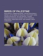 Birds of Palestine