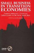 Small Business in Transition Economies: Promoting Enterprise in Central and Eastern Europe and the Former Soviet Union