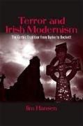 Terror and Irish Modernism: The Gothic Tradition from Burke to Beckett