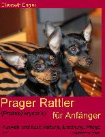 Prager Rattler (Pra¿ský krysarík) für Anfänger