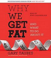 Why We Get Fat