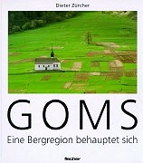Goms - eine Bergregion behauptet sich