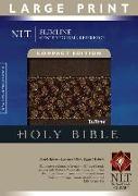 Slimline Center Column Reference Bible-NLT-Large Print Compact