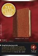 Study Bible-NLT-Personal Size