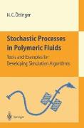 Stochastic Processes in Polymeric Fluids