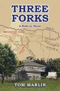 Three Forks - A Novel of Texas