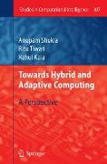 Towards Hybrid and Adaptive Computing