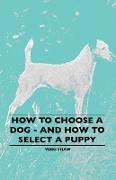 How to Choose a Dog - And How to Select a Puppy