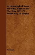 Archaeological Survey of India, Reports for the Year 1871-72 - Delhi, by J. D. Beglar