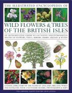 The Illustrated Encyclopedia of Wild Flowers & Trees of the British Isles: An Authoritative Guide to 650 Native and Introduced Species of Flowers, Tre