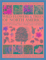 The Illustrated Encyclopedia of Wild Flowers & Trees of North America