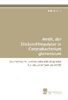 AmtR, der Stickstoffregulator in Corynebacterium glutamicum