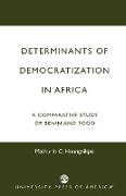 Determinants of Democratization in Africa