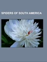 Spiders of South America