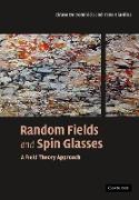 Random Fields and Spin Glasses