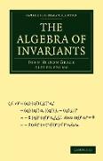 The Algebra of Invariants