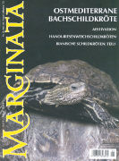 Ostmediterrane Bachschildkröte