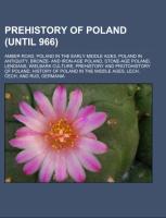 Prehistory of Poland (until 966)
