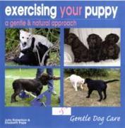 Exercising Your Puppy