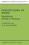 Perceptions of Work