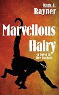 Marvellous Hairy: a novel in five fractals