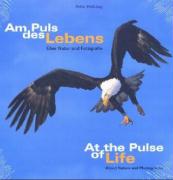 Am Puls des Lebens. At the Pulse of Life