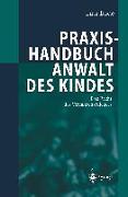 Praxishandbuch Anwalt des Kindes