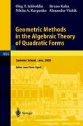 Geometric Methods in the Algebraic Theory of Quadratic Forms
