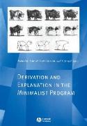 Derivation and Explanation in the Minimalist Program