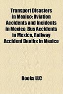 Transport Disasters in Mexico: Maltrata Bus Crash
