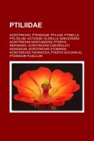 Ptiliidae