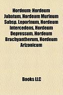 Hordeum: Hordeum Jubatum, Hordeum Murinum Subsp. Leporinum, Hordeum Intercedens, Hordeum Depressum, Hordeum Brachyantherum, Hor