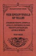 The Spirit World of Wales - Including Ghosts, Spectral Animals, Household Fairies, the Devil in Wales and Angelic Spirits (Folklore History Series)