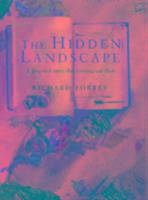 The Hidden Landscape