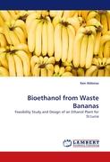 Bioethanol from Waste Bananas