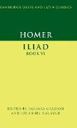 Iliad, Book 6