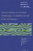 Contributions to Current Challenges in Mathematical Fluid Mechanics