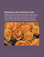 Brassicales Introduction