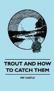 Trout and How to Catch Them