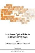 Nonlinear Optical Effects in Organic Polymers