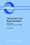 Abstraction and Representation