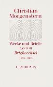 Werke und Briefe. Stuttgarter Ausgabe. Kommentierte Ausgabe / Briefwechsel 1878-1903
