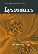 Lysosomes