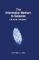 The Interstellar Medium in Galaxies