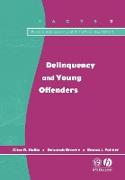 Delinquency and Young Offenders