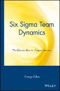 Six SIGMA Team Dynamics