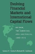 Evolving Financial Markets and International Capital Flows