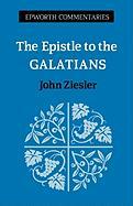 The Epistle to the Galatians (Epworth Commentary)